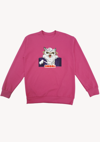 100% Cotton Graphic Sweater hi