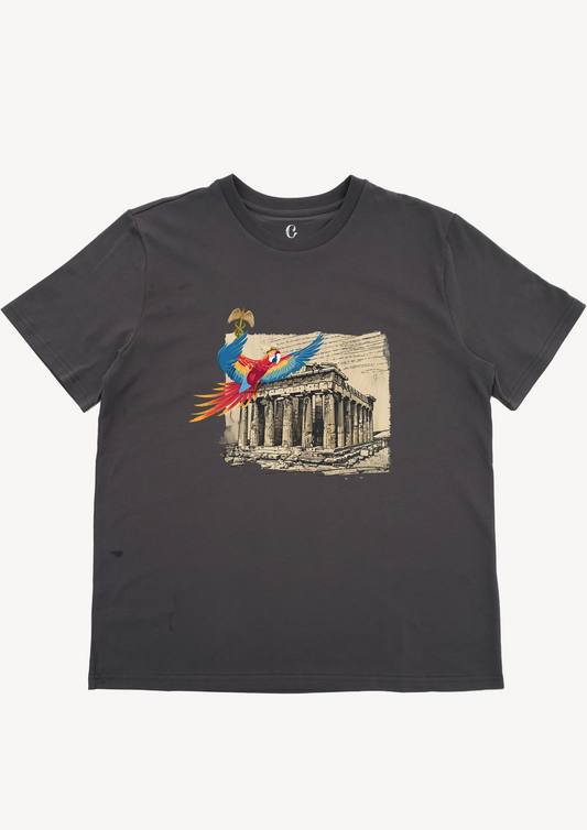 彩雀傳信|純棉圓領印花T恤