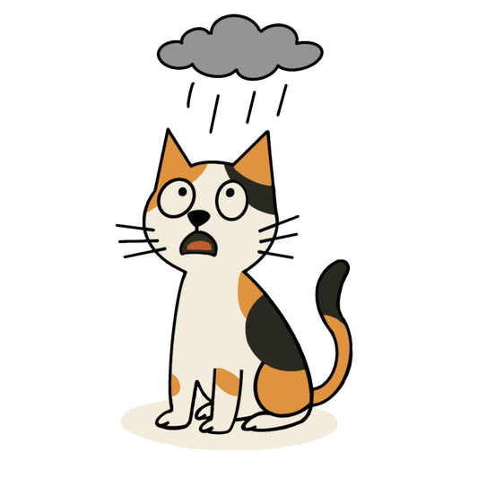 「阿Cal」看錯天氣預報?|純棉圓領印花T恤