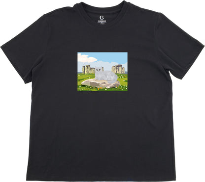 "Rosie" in Stonehenge | Cotton crewneck graphic printed T-shirt
