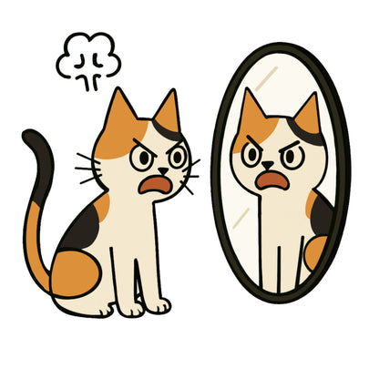 "Ah Cal" throwing a tantrum in front of the mirror | Cotton crewneck graphic printed T-shirt