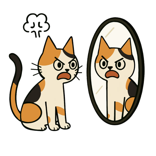 "Ah Cal" throwing a tantrum in front of the mirror | Cotton crewneck graphic printed T-shirt